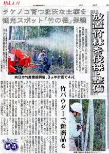 放置竹林