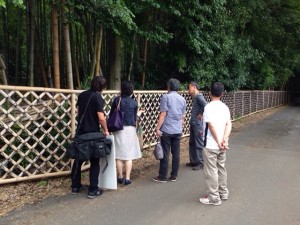 竹の径　取材　竹垣