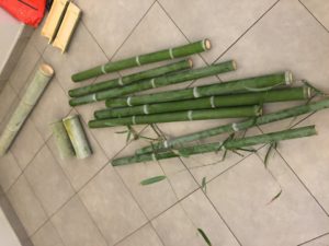 イタリア・ローマでの植物園視察