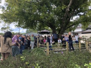 アメリカ森上庭園竹垣morikamijapanesegarden