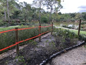アメリカ森上庭園竹垣morikamijapanesegarden