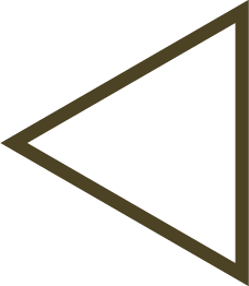 Bamboo SVG