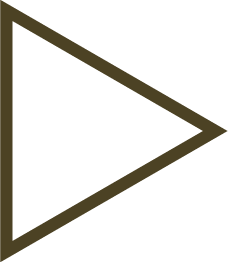 Bamboo SVG