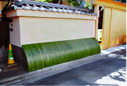青竹と白竹のどちらがおすすめですか？
