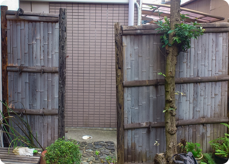 Before image
