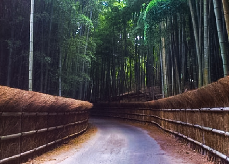 向日市・竹の径