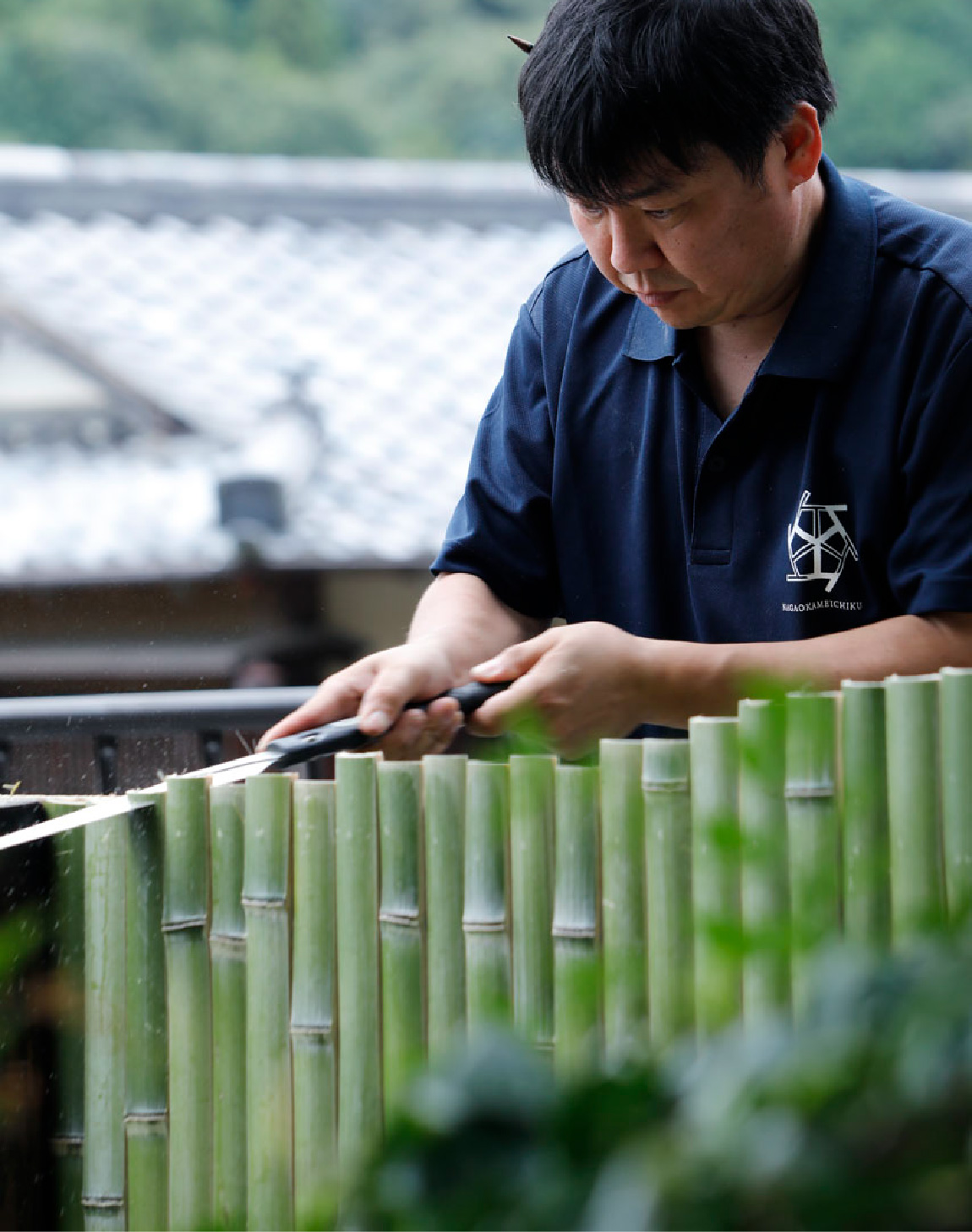 Man cutting bamboo outside