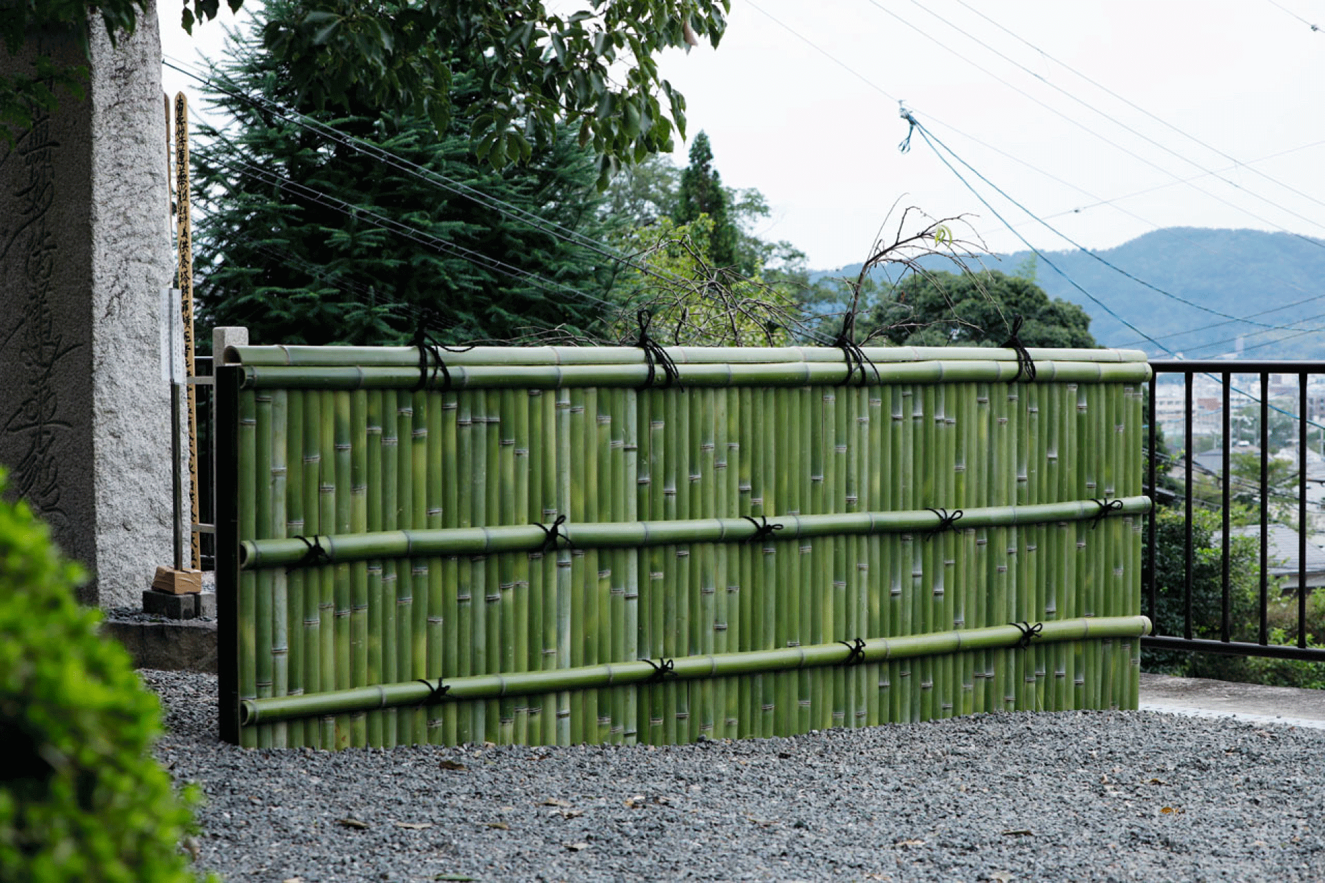 Bamboo wall