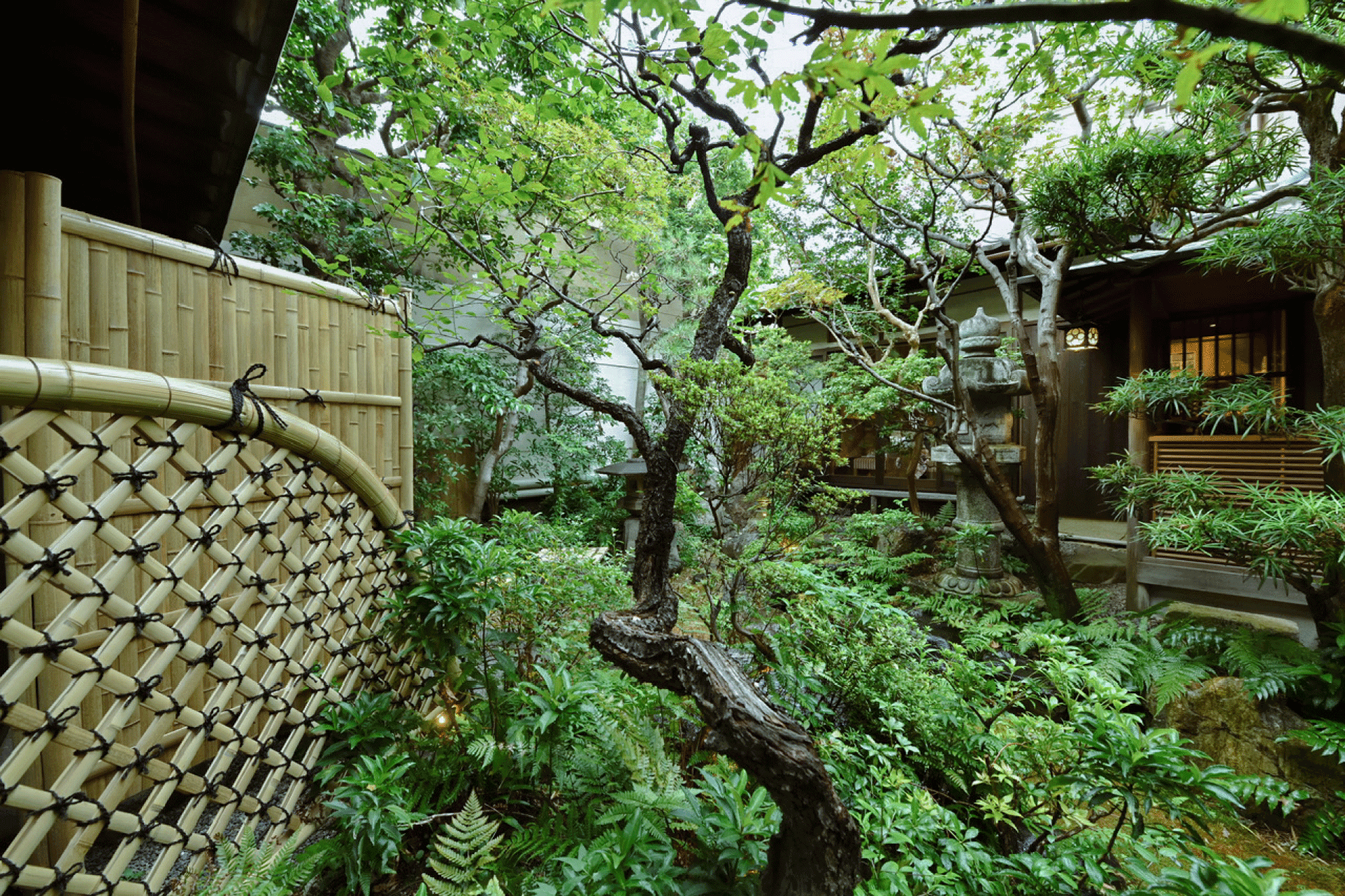 Bamboo wall