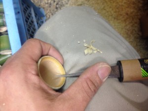 青竹のおちょこ