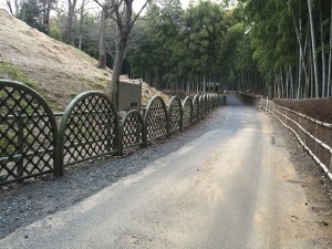 『向日市、竹の径（たけのみち）、古墳垣』