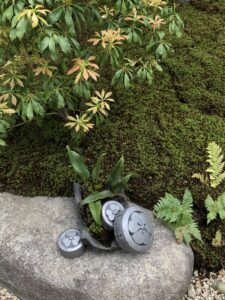 伝七邸竹垣