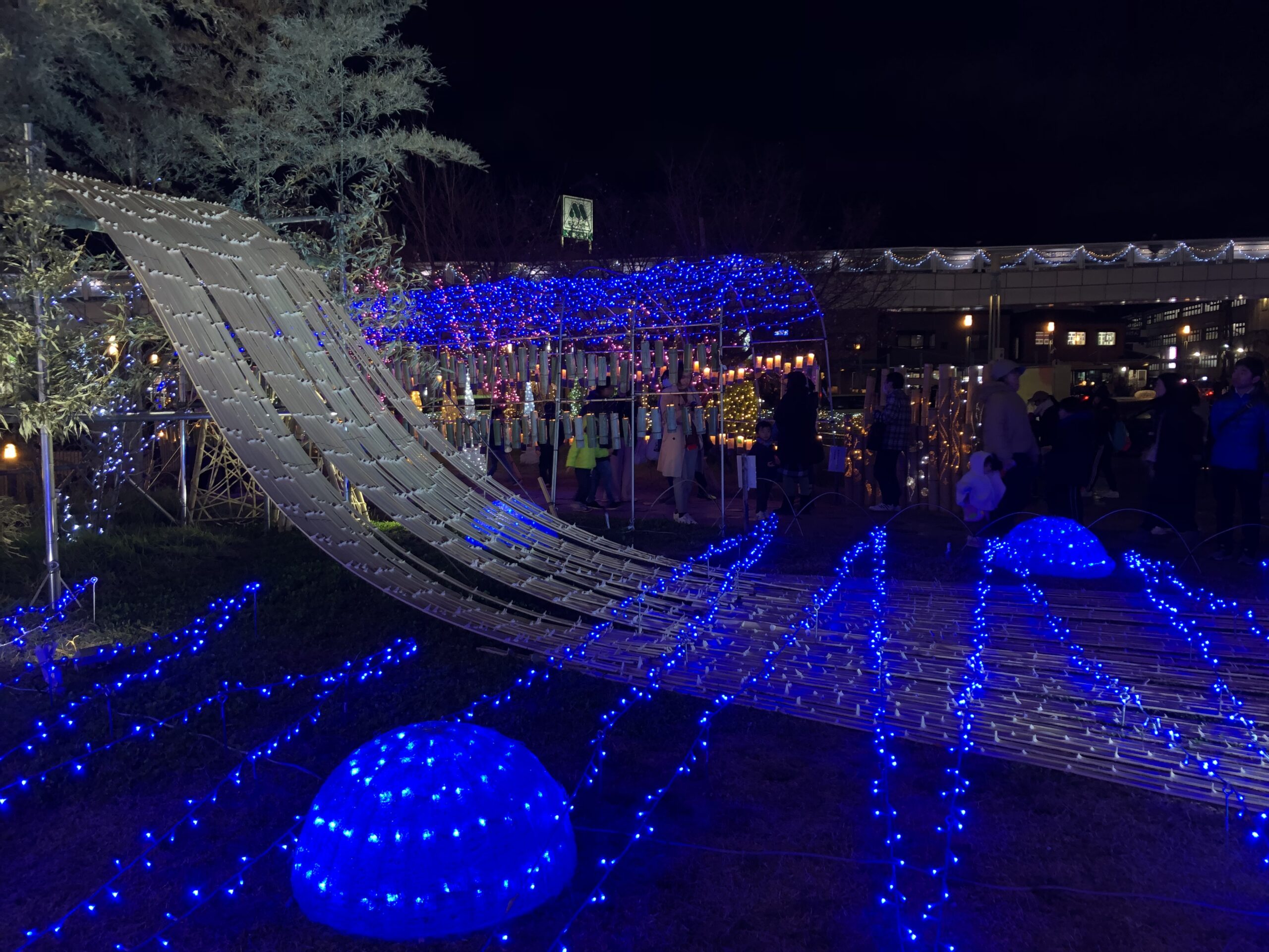バンビオイルミネーション 2019-2020@バンビオ公園広場