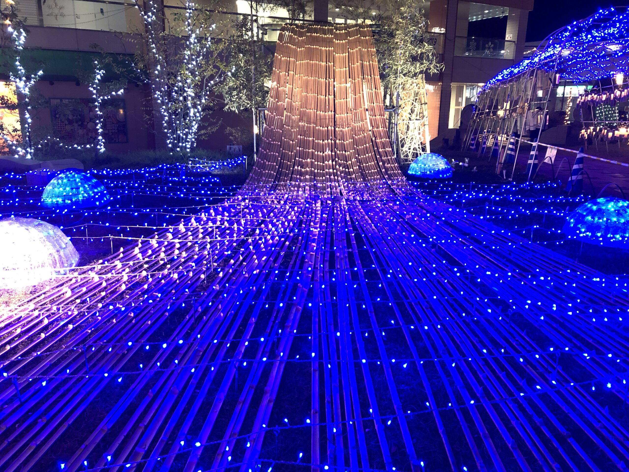 バンビオイルミネーション 2019-2020@バンビオ公園広場