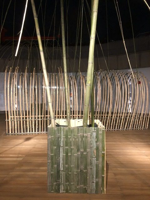 Bamboo Celebration@みやこめっせ