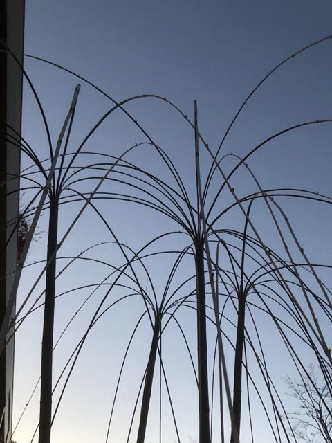 Bamboo Celebration@みやこめっせ