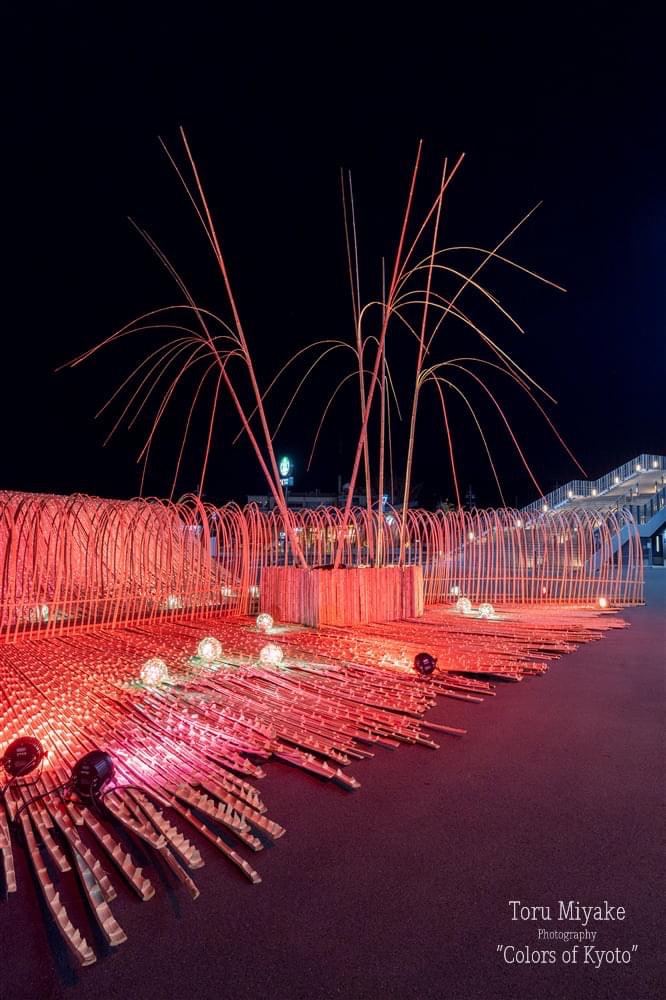 竹のインスタレーション事例集