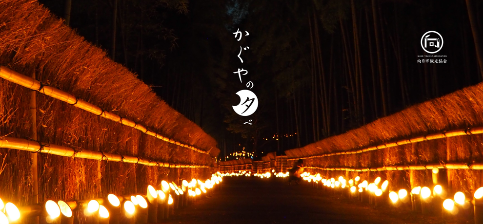 【イベント情報】10/21~22竹の径・かぐやの夕べ＠竹の径（向日市）