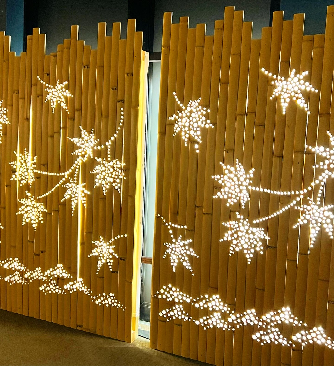 TAKEAKARI＠MORIKAMI Museum＆Japanese Garden