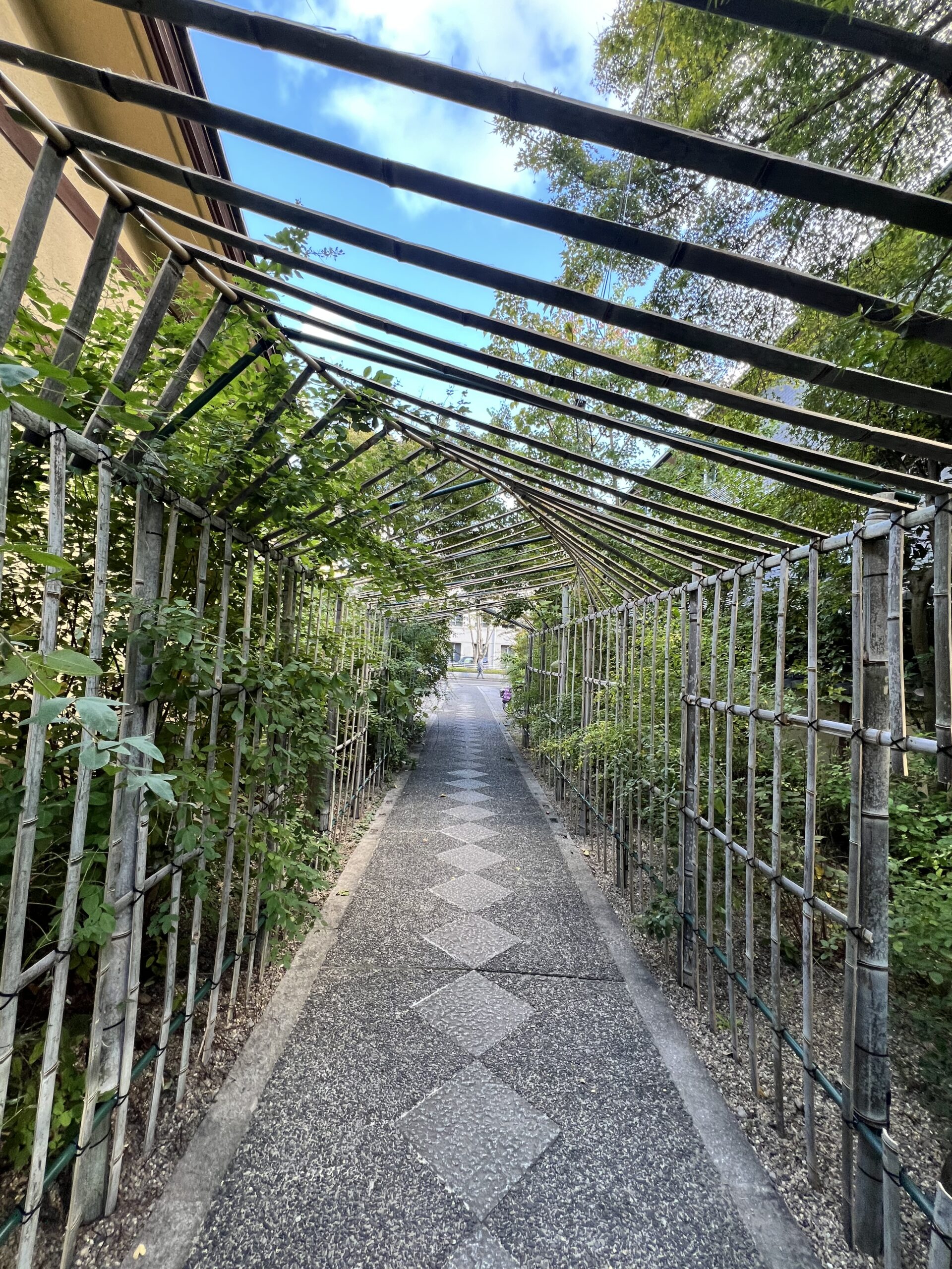 萩のトンネル@梨木神社