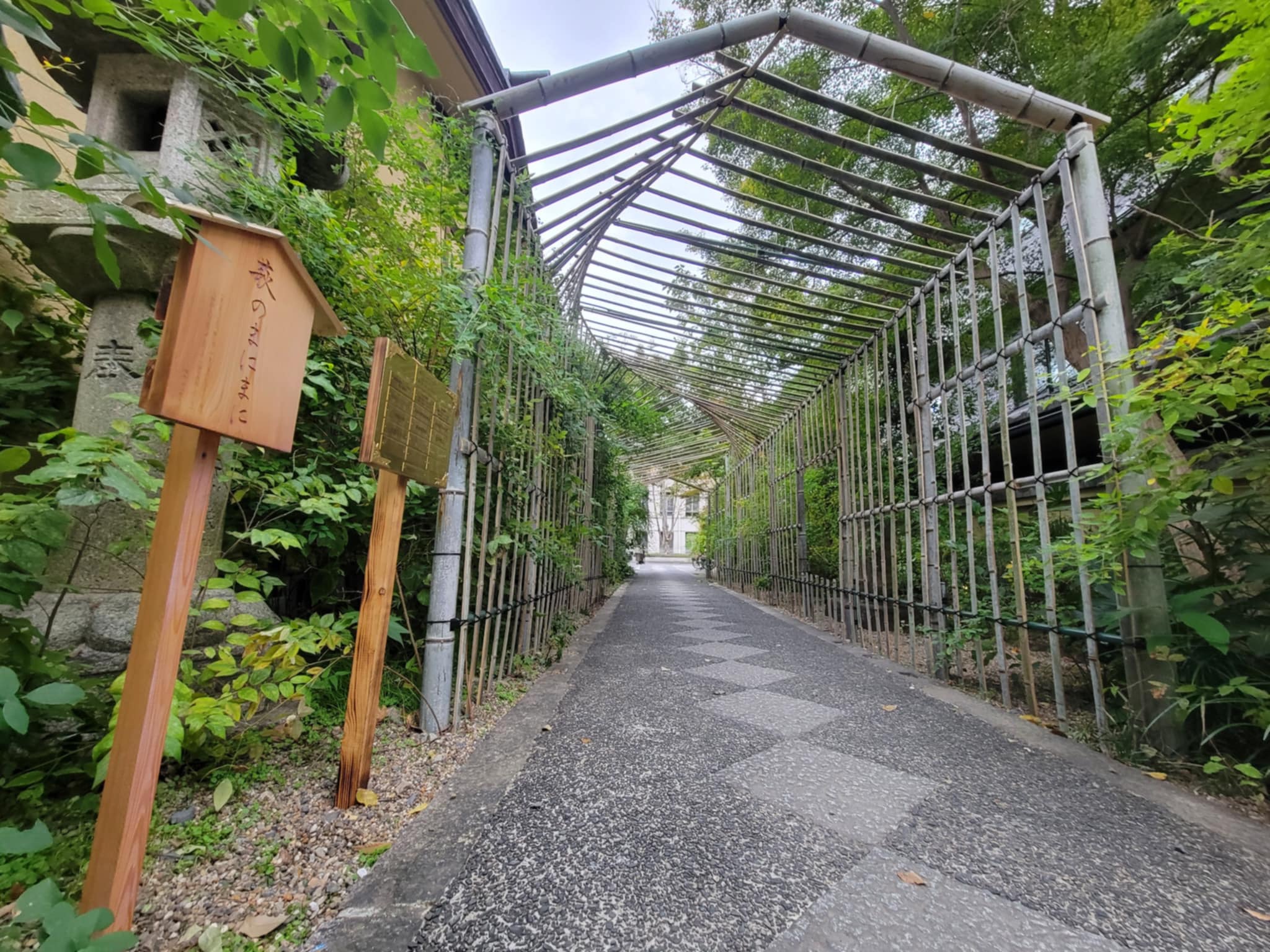 萩のトンネル@梨木神社