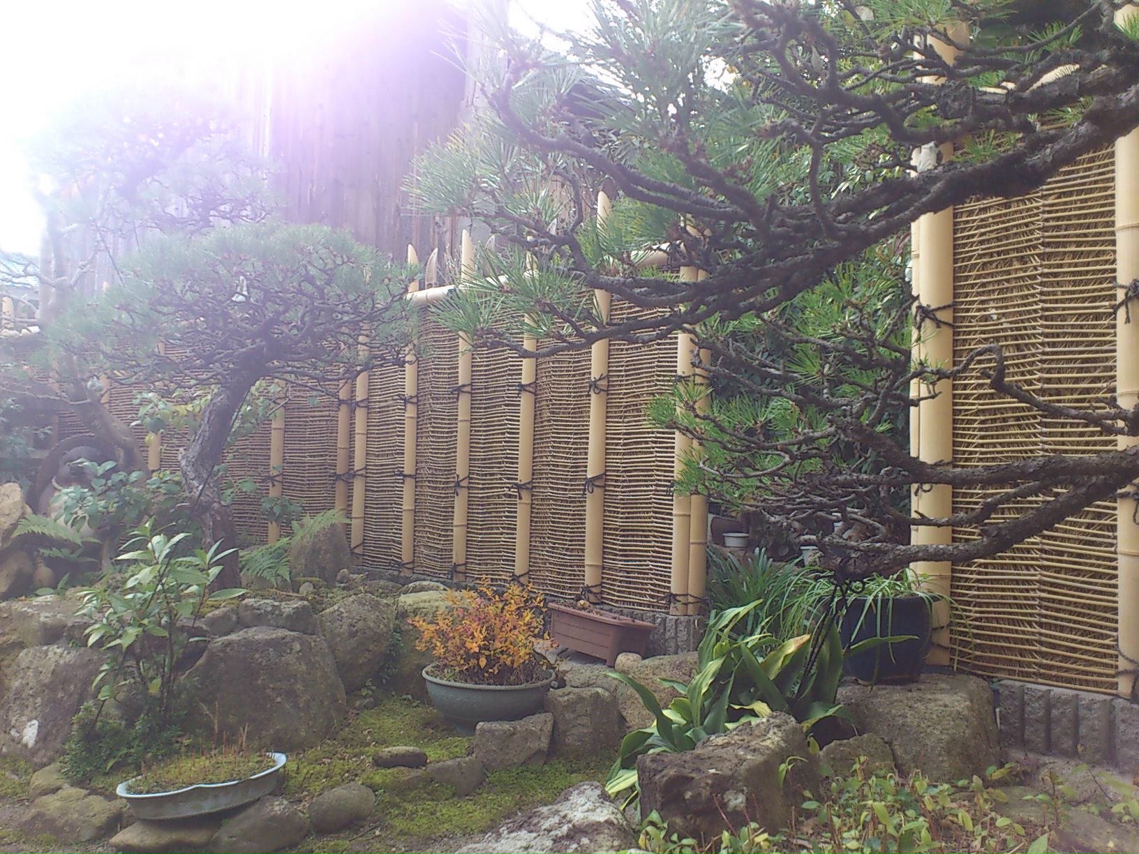 竹枝離宮垣