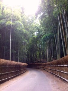 竹の径（たけのみち）