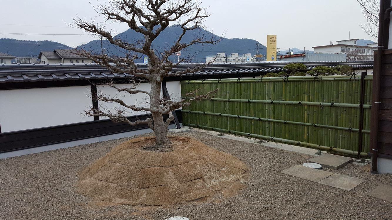 建仁寺垣