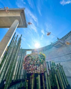 竹のインスタレーション