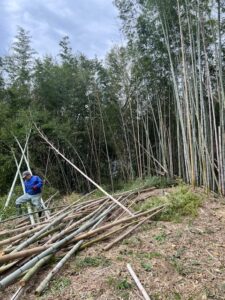 チッパーで放置竹林を竹チップへ