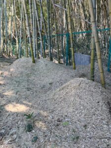 チッパーで放置竹林を竹チップへ