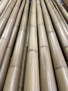 京銘竹「胡麻竹」