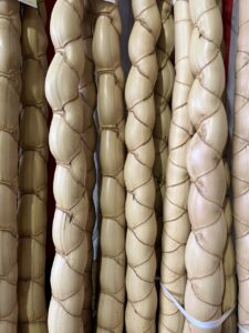 京銘竹「亀甲竹」