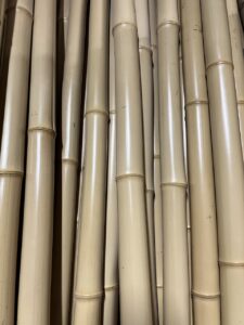京銘竹「白竹」