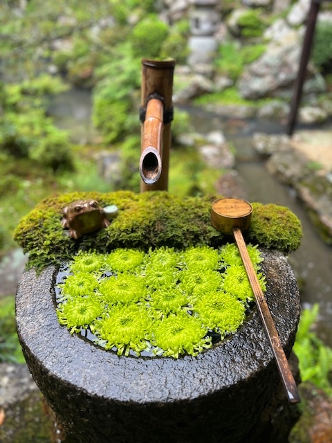 柳谷観音楊谷寺様｜花手水の竹「筧（かけひ）」