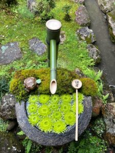 柳谷観音楊谷寺様｜花手水の竹「筧（かけひ）」