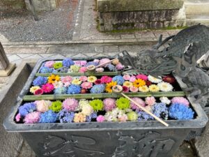 柳谷観音楊谷寺様｜花手水の竹「筧（かけひ）」