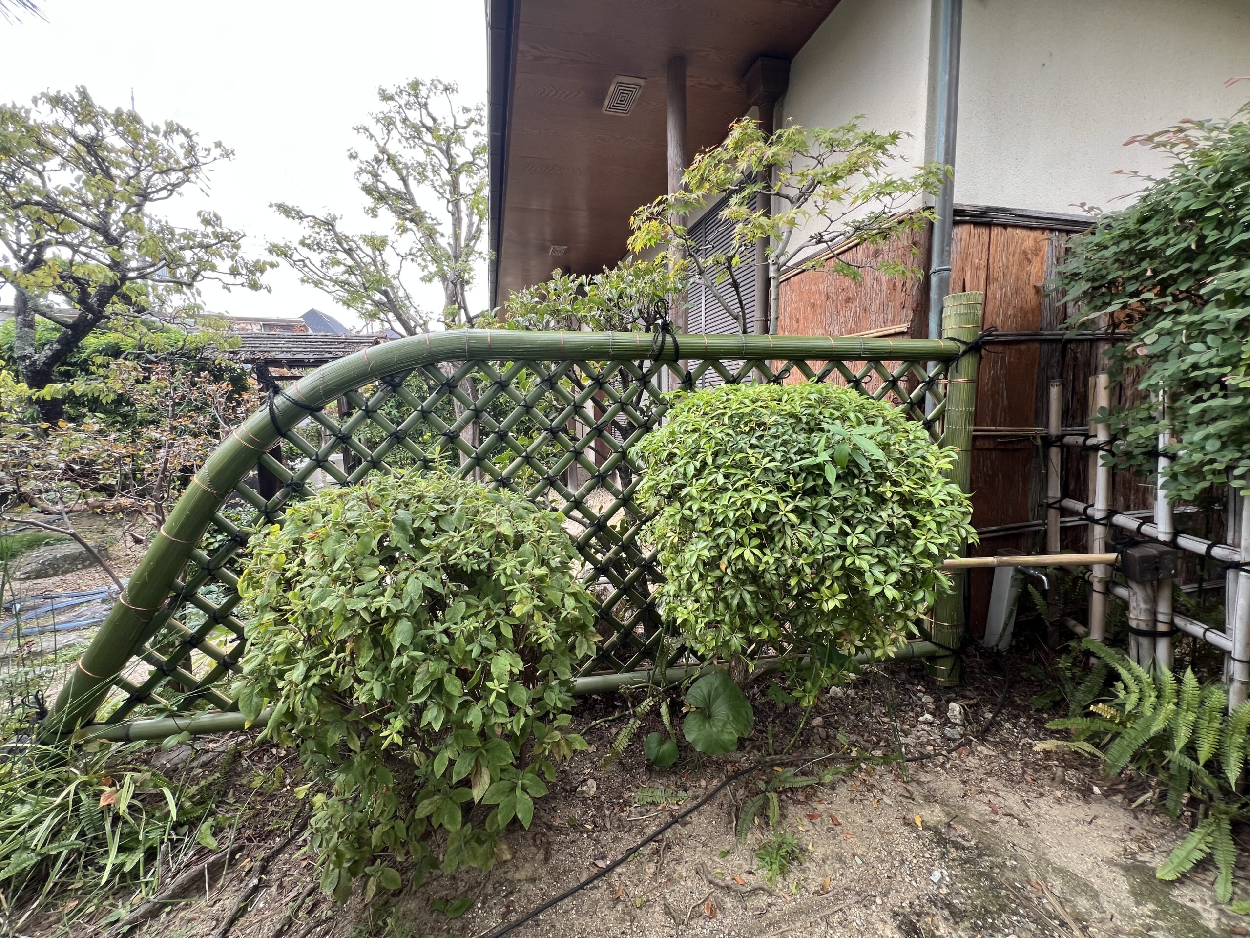 光悦寺垣