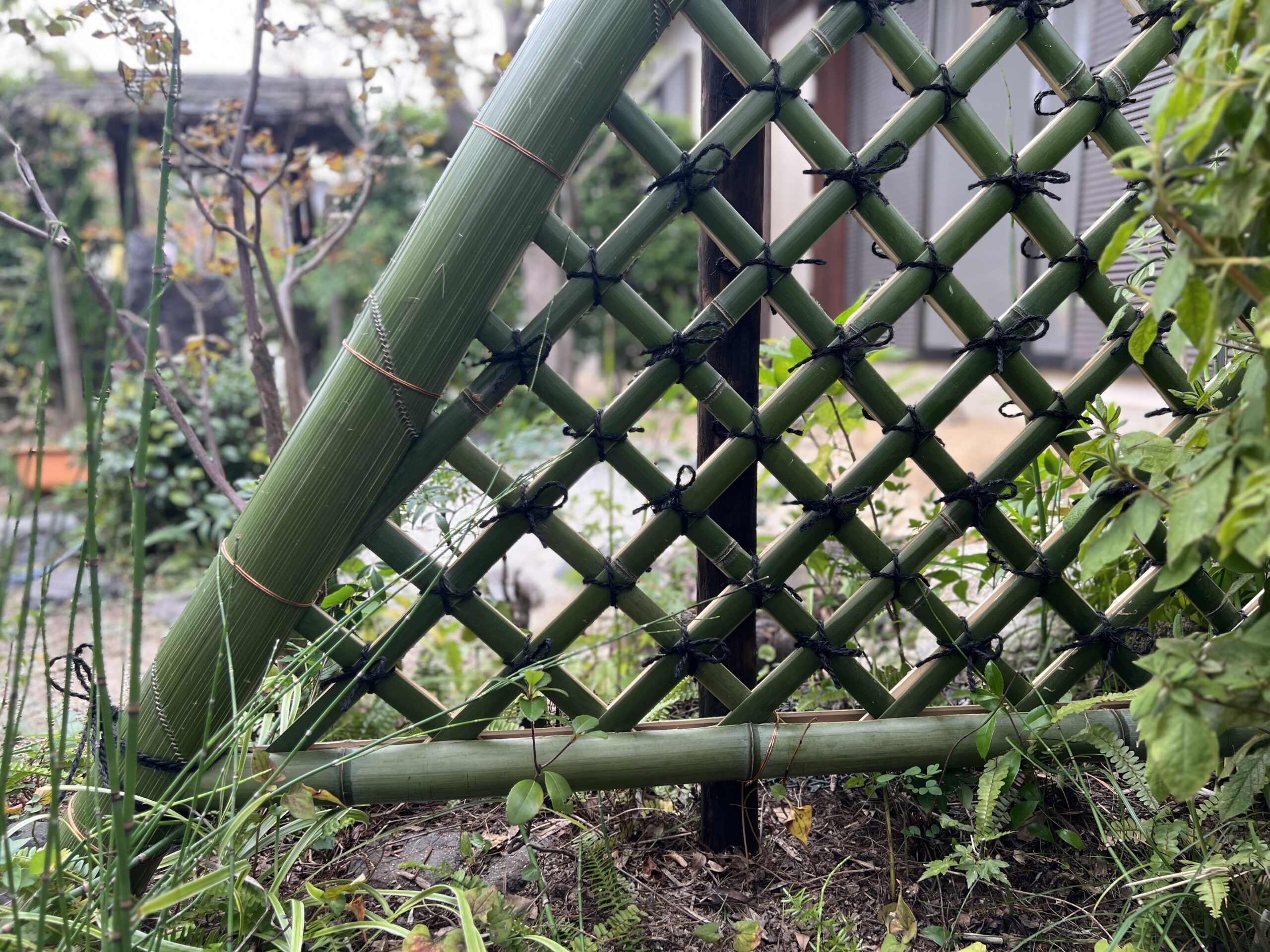 光悦寺垣