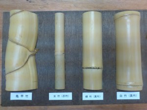 竹の種類