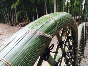 竹の径　古墳垣