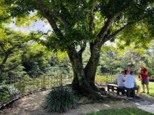 アメリカ森上庭園竹垣morikamijapanesegarden